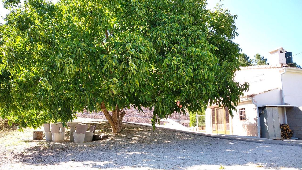 Villa Venta De La Casa Noguera Riópar Esterno foto
